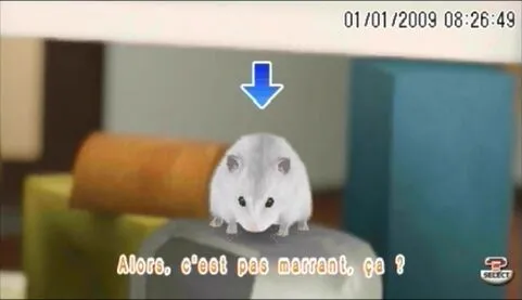 Petz my baby Hamster (PSP) [Б/У]