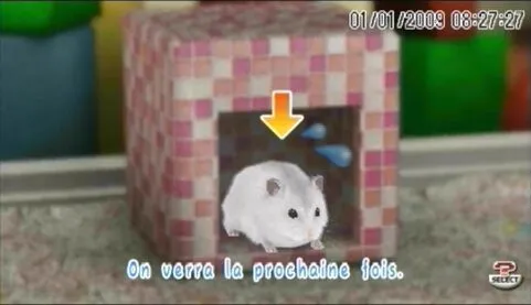 Petz my baby Hamster (PSP) [Б/У]