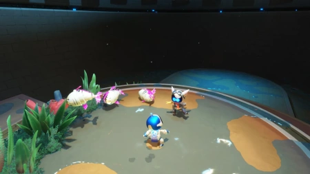Astro Bot (PS5)