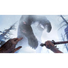 Skydance's Behemoth (только для PS VR2) (PS5)