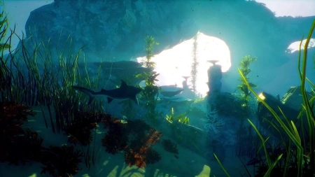 Maneater (Nintendo Switch) [Б/У]