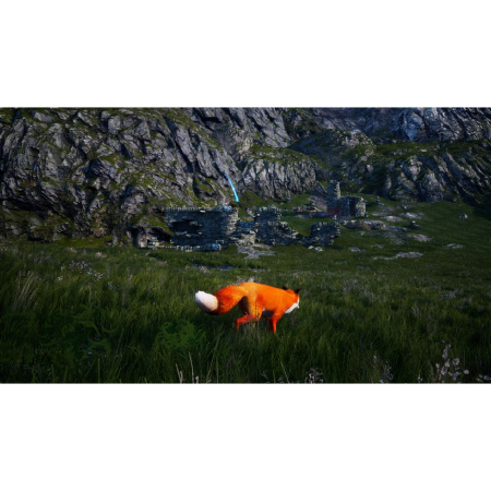 Spirit of the North (PS4)