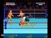 Super Wrestle mania (sega)