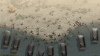 Commandos 2 & 3 - HD Remaster Double Pack