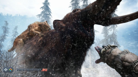 Far Cry Primal. Специальное Издание