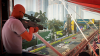 Hitman: World of Assassination (PS5) [Б/У]