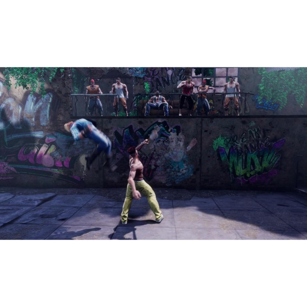 Double Dragon: Revive. Limited Edition (PS5)