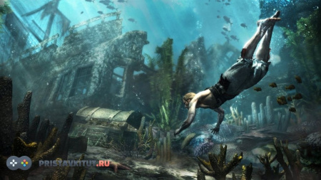 Assassins Creed 4: Black Flag (Черный флаг) (Ps 4) [Б/У]