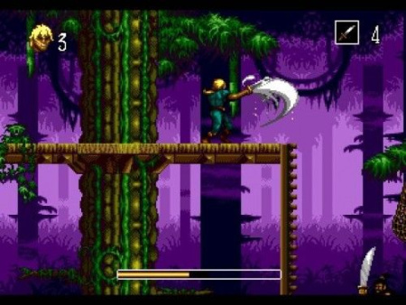 The Pirates of Dark Water (sega)