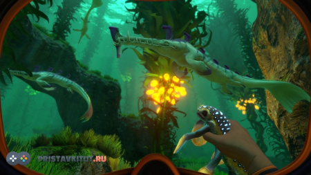 Subnautica (PS4)