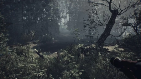Blair Witch (PS4)
