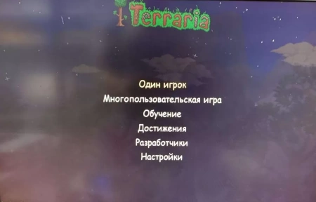 Terraria (PS4) [Б/У]
