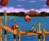Donkey Kong