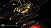 Child of Eden (PS3) [Б/У]
