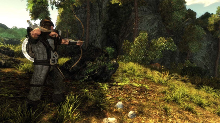 Risen (Switch) [Б/У]