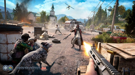 Far cry 5  (PS4) [Б/У]