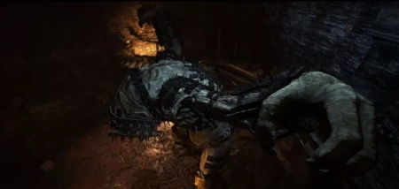 Dragon's Dogma: Dark Arisen (PS4)