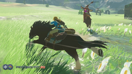 The Legend of Zelda: Breath of the Wild (Nintendo Switch) [Б/У]