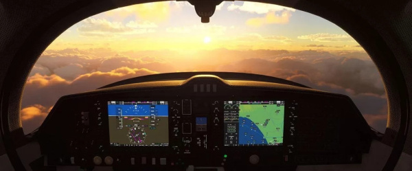 Microsoft Flight Simulator (Xbox Series)