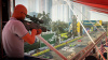 HITMAN: World of Assassination. Signature Edition (Switch 2)