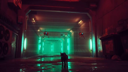 Stray (PS5)