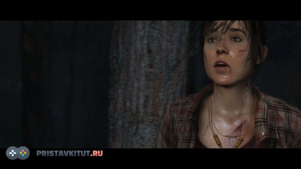 Heavy Rain и За гранью: Две души. Коллекция