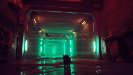 Stray (PS4) [Б/У]