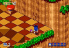 Sonic 3D Blast (sega)