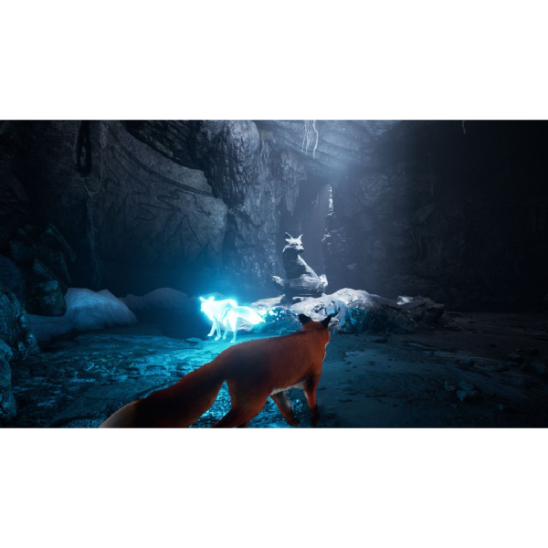 Spirit of the North (PS4)
