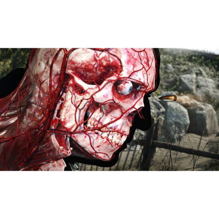 Sniper Elite 5 (PS4)