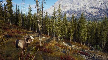Way of the Hunter (PS5)
