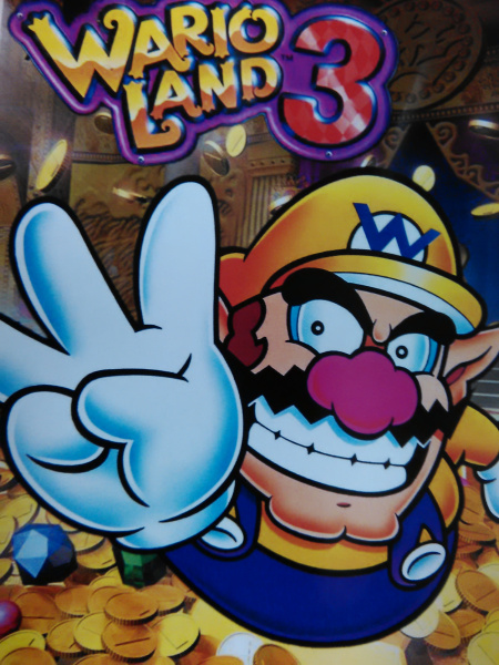 Wario Land 3