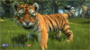 Kinectimals (для Kinect)