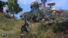 Elder Scrolls Online: Morrowind