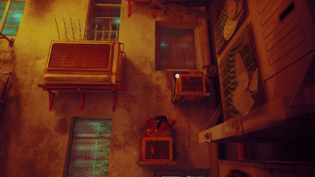 Stray (Nintendo Switch)