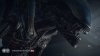 Alien: Isolation Nostromo Edition (Xbox One)