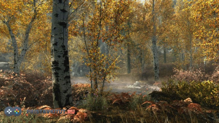 The Elder Scrolls V: Skyrim. Special Edition (Ps 4)