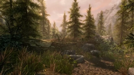 The Elder Scrolls V: Skyrim VR (PS4)