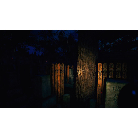 The Sinking Forest (PS5)