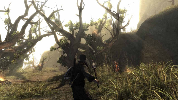 Risen (Switch) [Б/У]