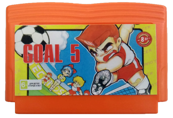Goal 5