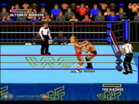 Super Wrestle mania (sega)