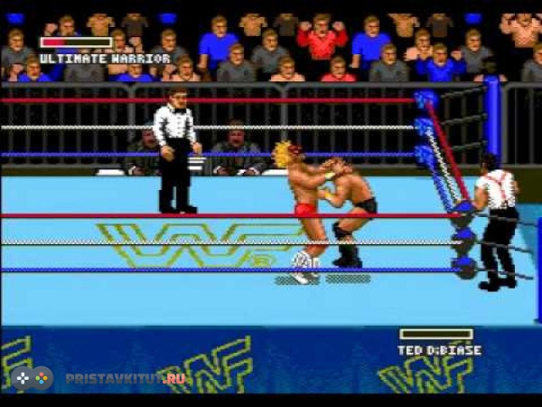 Super Wrestle mania (sega)