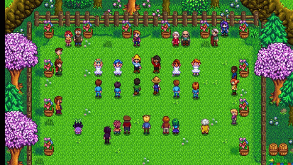 Stardew Valley (NSW)