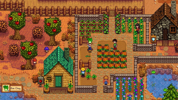 Stardew Valley (NSW)