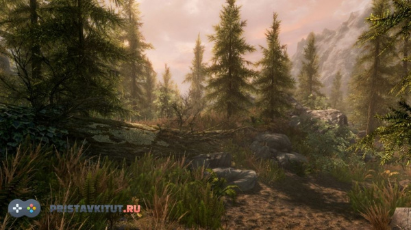 The Elder Scrolls V: Skyrim Special Edition (Ps 4)