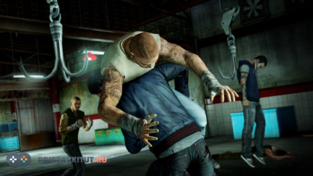 Sleeping Dogs (PS3)