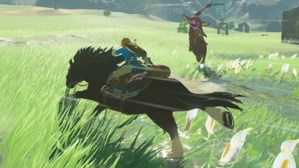 The Legend of Zelda: Breath of the Wild (Nintendo Switch)