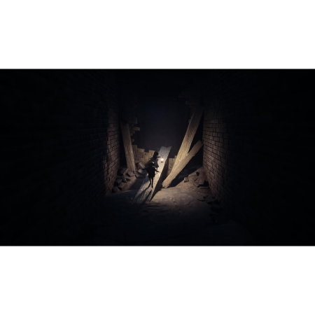 Reanimal (PS5) [Б/У]