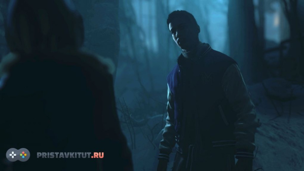 Дожить до рассвета. Until Dawn (PS4)
